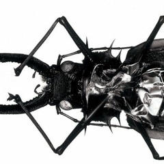 Massive Attack