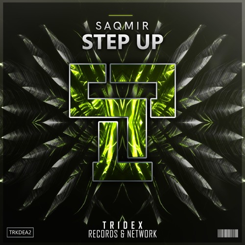 SaQmir - Step Up (Original Mix)