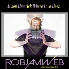 Alison Limerick. Where Love Lives The RobJamWeb Discosonic Remix 2019 FREE D/L