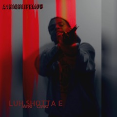 Luh Shotta E Neva Cared E-Mixx