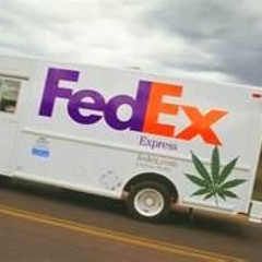 Touchdown By.PupoTheDon