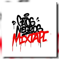 Victor Rutty; Rober del Pyro; Dj Kaef - GATOS NEGROS MIXTAPE