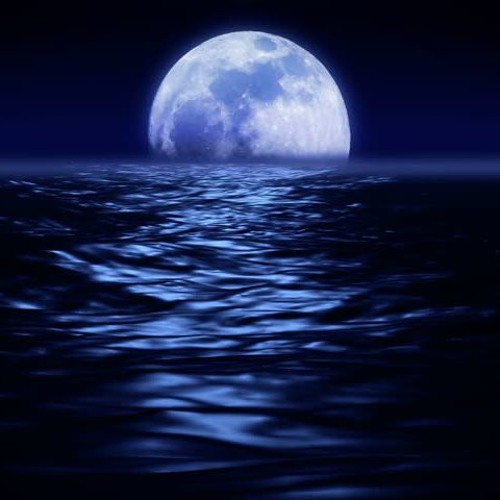 Walk On The Moon (feat. Charco, Hongjun) Prod. By Charco