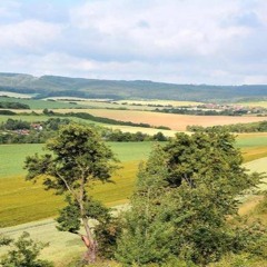 Ben Blask live @ Rave 22.06.19