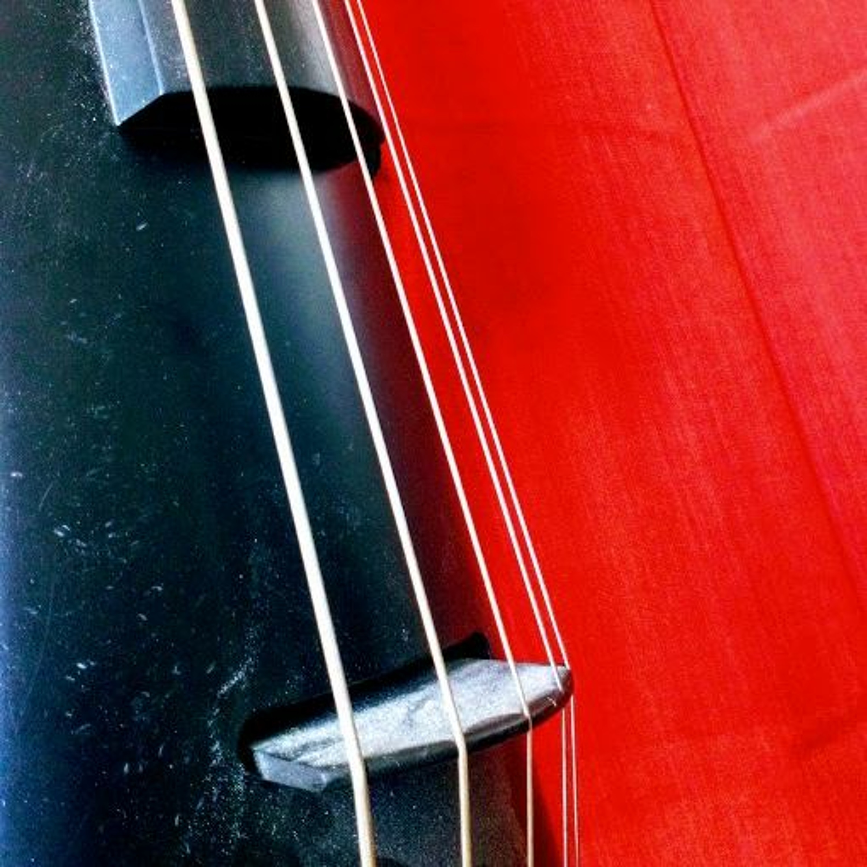 Escapades in Music