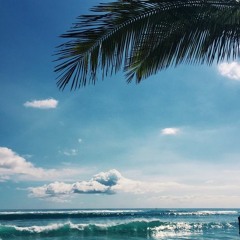 Summer Creations (Vol.2) /// 2019