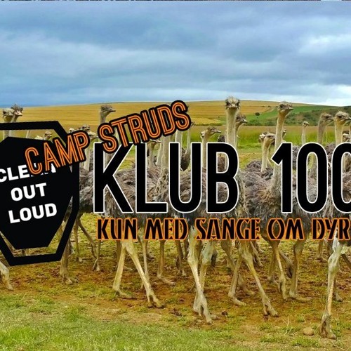 Camp Struds - Klub 100 - Dyr