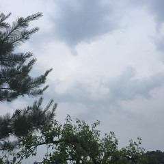 마음은 언제나 여러 개가 있지(cover)