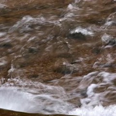 rúsh