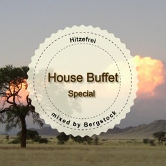 House Buffet Special - Hitzefrei  -- mixed by Bergstock