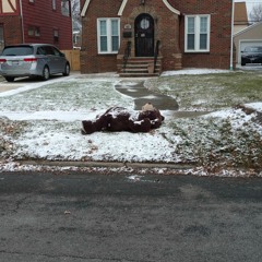 Fallen Ft Ethan Evans