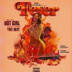 " Hot Girl Summer " Official Mixtape - @DJDizzy__