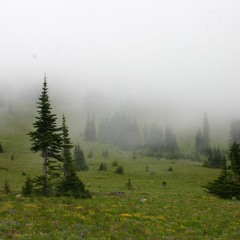 Meadow Dream（prod. BlackMayo）