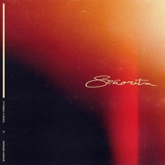Senorita (Cover Solo) - Shawn Mendes, Camila Cabello