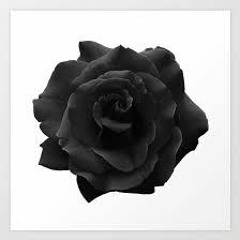 - Black Roses - Sad and Chill Rap Beat