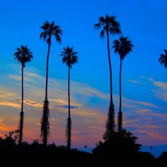 Los Angeles Electric Sunsets Vol.15