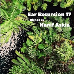 Ear Excursion 17