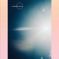 Andrew & Colby Ep 2: Staring Into the Sun with Mark Sabino