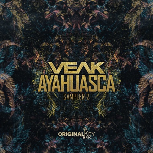 Veak - The End Of Truth - Original Key Records
