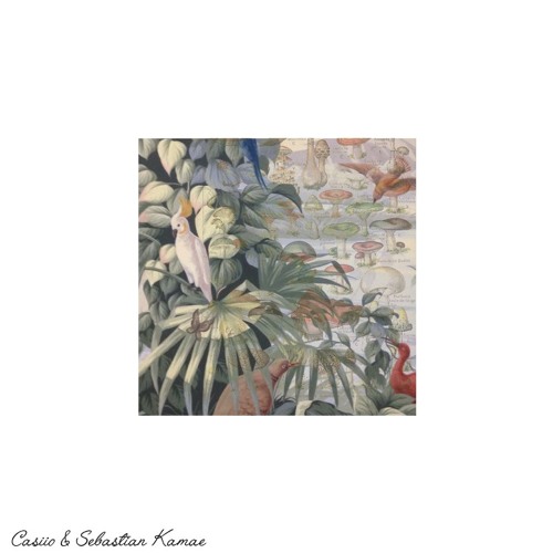 Casiio & Sebastian Kamae - Flora