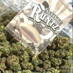 Runtzchester - Tunde x Dollas Up Nero x Yung LB