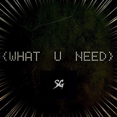 What U Need - Prod. By RLBeatz