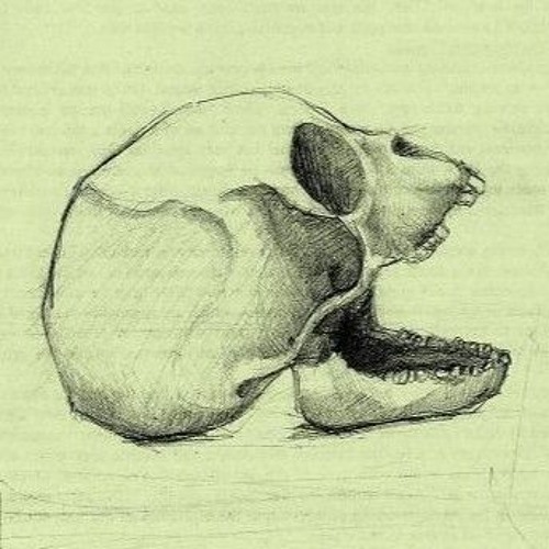 Specii - Tetha