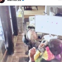 Warhol.ss X Lil Tecca - Walin (Snippet)