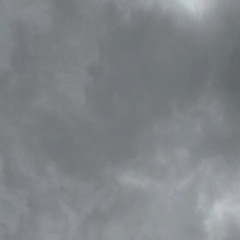 Not2Mislead/TurnU2Bloo