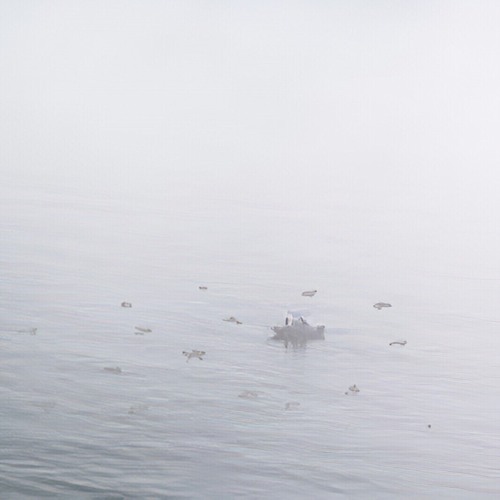 SCP-2316