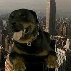 Da Rockwilder(Punk Rock Cover)