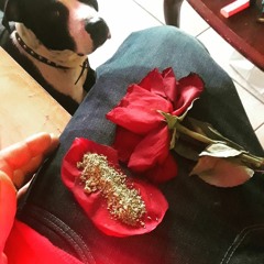 "Red Roses" MoneyWayne ft. Muneca/My Lady  x MTez /Prod. money wayne music