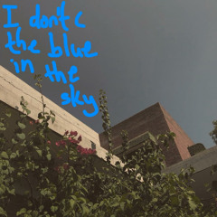 i don't see the blue in the sky
