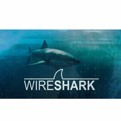 #55:  Wireshark: Packet Analysis and Ethical Hacking Course