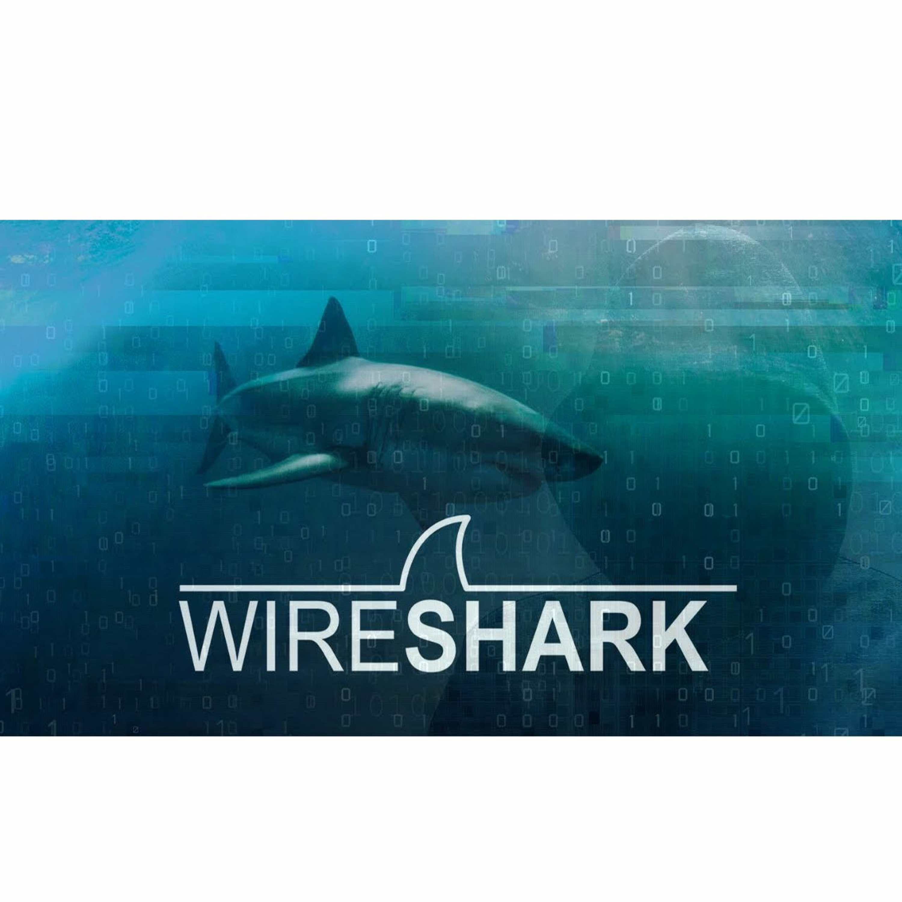 cover of episode #55:  Wireshark: Packet Analysis and Ethical Hacking Course