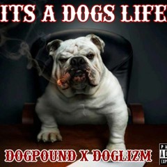 Its A Dogs Life - DogLizm x DogPound
