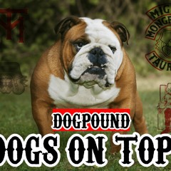 Dog Pound - Dogs on Top
