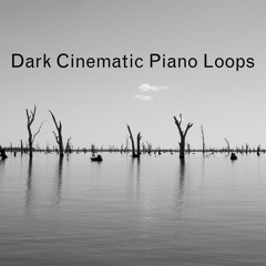 On The Lowdown - Felt Piano Loop Demo