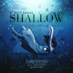 Shallow (Dimen5ions & DJ Tiguere Bachata Remix)
