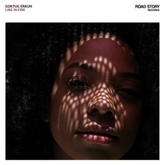 Göktuğ Erkün - Like In Fire