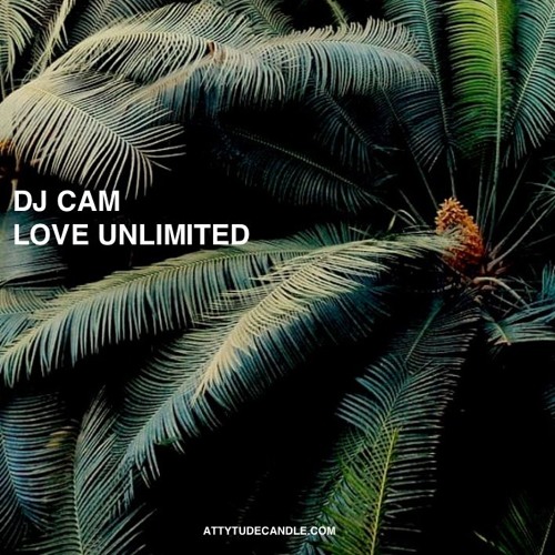 DJ CAM - LOVE UNLIMITED MIX