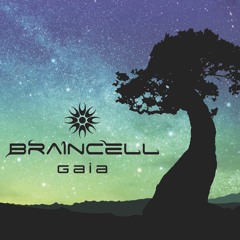 Braincell - Body Composition