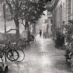 Romance In The Rain / 情深深雨濛濛 | Dương Bàn Vũ / 楊胖雨