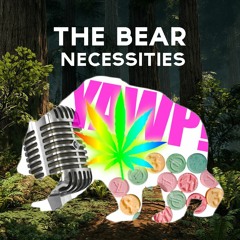 Bear Necessities