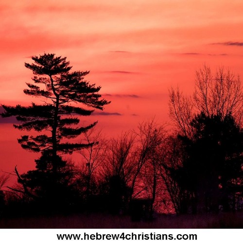 Stream John Mark IB Listen To Hebrew4Christians Playlist Online For Stream John Mark IB Listen To Hebrew4Christians Playlist Online For