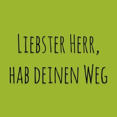 Liebster Herr, hab deinen Weg