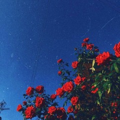 crown (a stormzy remix)