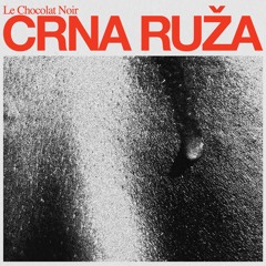Le Chocolate Noir - Crna Ruža