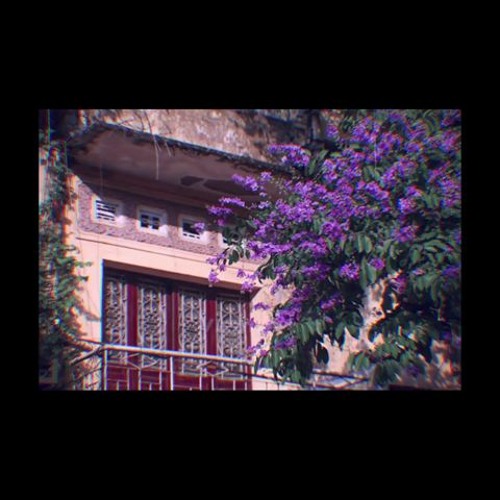 Hoa Bằng Lăng - Lửa ( Prod Tam Kê )