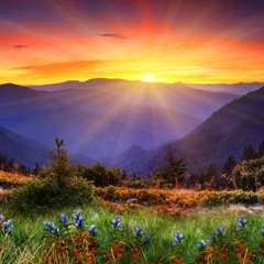 Anxiety POD/ From the Shadow POD